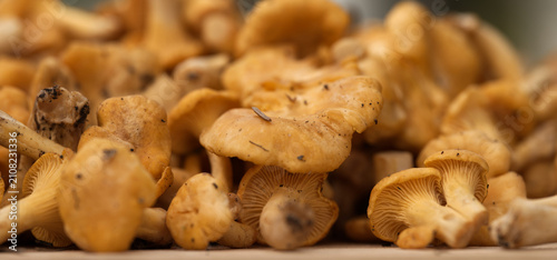 Foto Fresh Golden Chanterelle Mushrooms