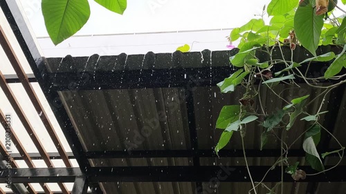 A low-angle slow motion video of rain dripping from the edge of a corrugated metal canopy roof with green vines trailing down, capturing water droplets in high detail against a peaceful garden patio s