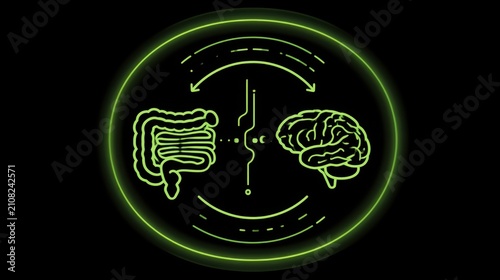 Human gut brain axis concept with digestive and nervous system connection.