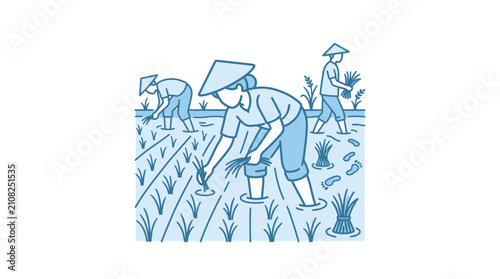 Farmers cultivating rice in flooded paddy field with traditional hats