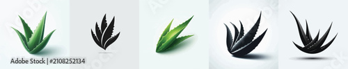 Aloe Vera Silhouette Vector Illustration