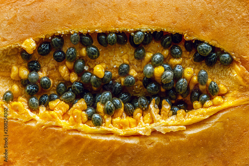 Macro close-up of ripe papaya fruit showing vibrant orange flesh and glossy black seeds. Fresh tropical fruit texture with natural pattern.