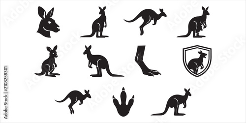 Obraz na płótnie Set of kangaroo icons and silhouettes showing various poses and actions with kan