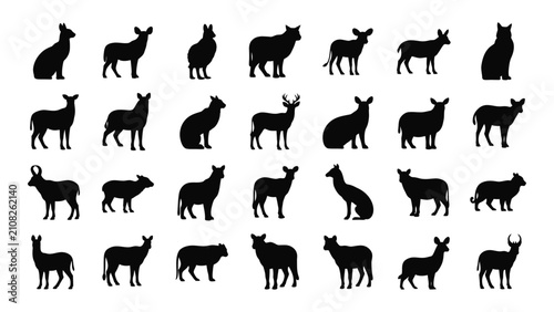 Fotografía Black silhouettes of various dog breeds standing