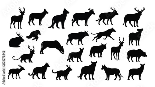 Photography Black silhouettes of various wild animals