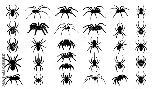 Photos Realistic spider silhouette vector collection with black arachnid illustrations