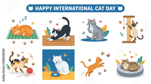Cats engaged in various daily activities like sleeping, stretching, and playing illustrate the diverse and charming behaviors of feline companions celebrating International Cat Day.