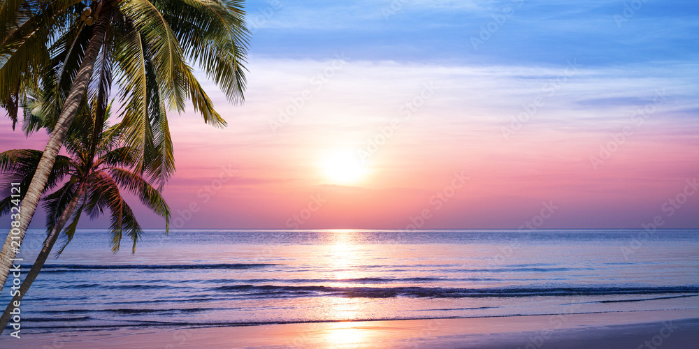 Obraz premium Sea beach sunrise, ocean sunset landscape, paradise tropical island nature, beautiful peaceful morning, coconut palm tree leaves silhouette, pink sky, sun reflection on water, summer holidays, travel