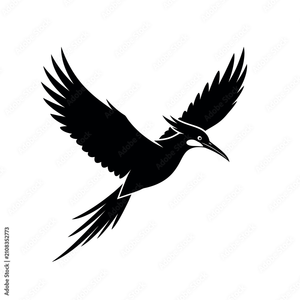 Fototapeta premium Black bird in flight with wings spread wide.