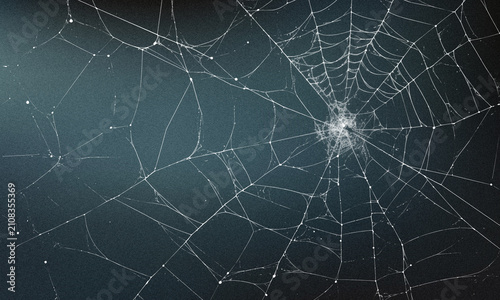 Photography Natural spider web threads illuminated in darkness with spiderweb, arachnid