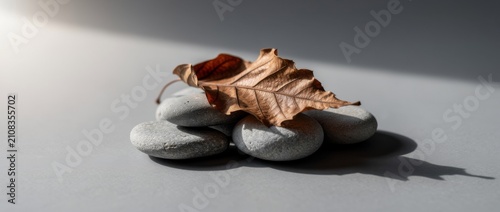 Still Life Composition of Smooth Pebbles with a Dry Autumn Leaf Highlighting Natural Textures and Serenity in Soft Lighting
