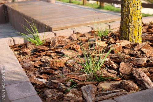 Close-up view of a street flowerbed mulched with pine bark and planted with ornamental grasses. A wooden bench for relaxation in a park area is visible in the background.