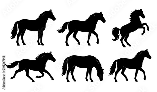 Fotografie Set of Six Dynamic Black Horse Silhouettes Showing Movement