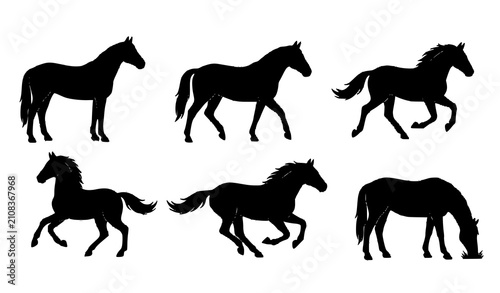Canvastavla Six Black Horse Silhouettes in Different Poses and Actions