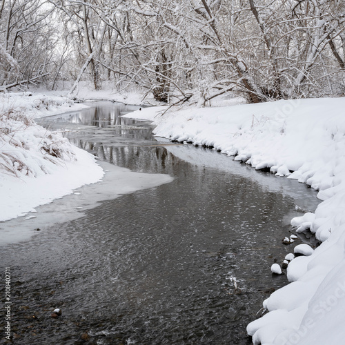 heavy snowstorm over Poudre River in northern Colorado, one of natural areas  in Fort Collins