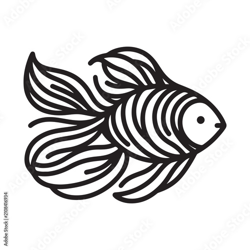 fish on white background