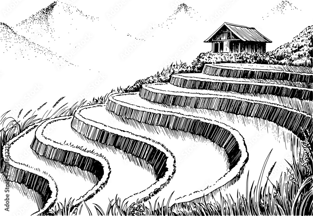 Fototapeta premium Una tinta en blanco y negro de una cabaña tradicional con vistas a pintorescos campos de arroz en terrazas en las montañas