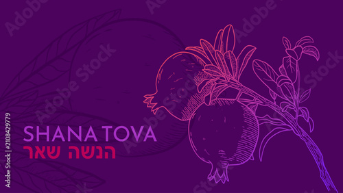 Shana tova , rosh hashanah banner - vector illustration