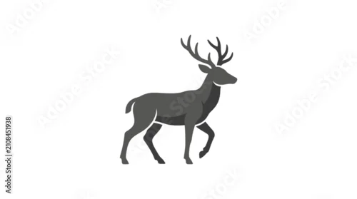 Obraz Deer with large antlers walking.