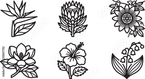 Foto Tropical and exotic flower line art collection including bird of paradise protea