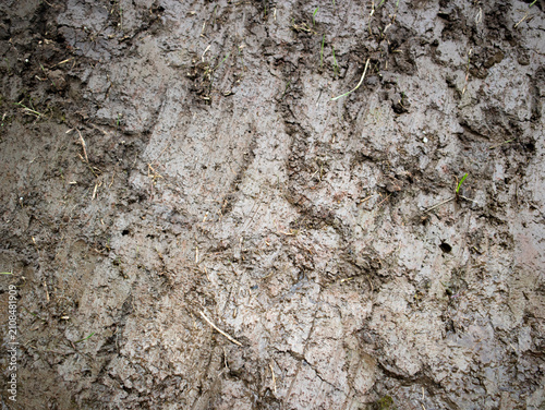 The soil texture in rice fields is wet because there is enough water