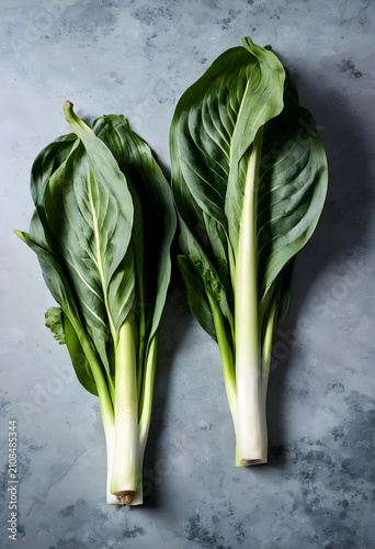 Two fresh pak choi on gray ...