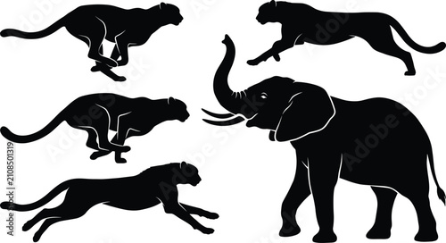 Photography Collection of black animal silhouettes featuring running cheetahs and an elephan