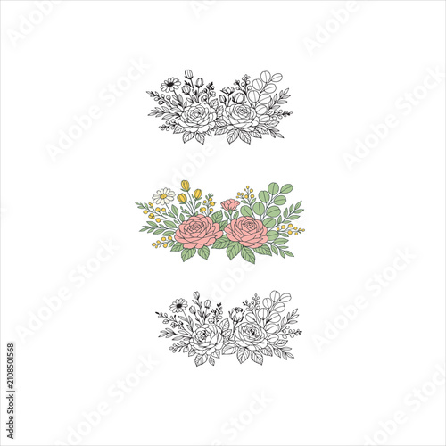 botanical line art illustration