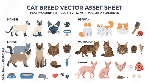 Cat Breed Vector Asset Sheet: A comprehensive collection of flat modern pet illustrations showcasing various cat breeds like Siamese, Persian, Maine Coon, and Sphynx, alongside accessories and icons.