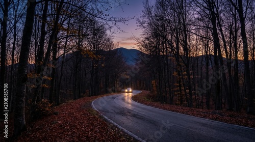 A smooth asphalt road curves gracefully between tall dark beech trees inside a colorful autumn mountain landscape.