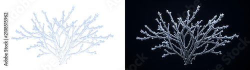 Frost covered frozen tree branches forming a winter bush shape ideal for seasonal overlays and nature designs in PNG, Transparent and Black Background Versions for creative projects