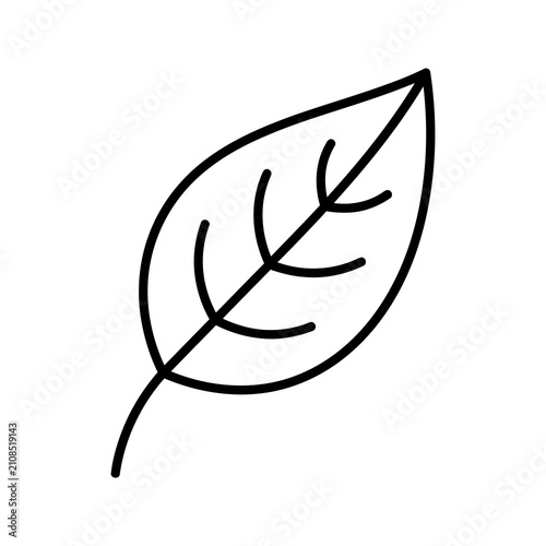 Symmetrical botanical leaf line icon for clean minimalist design projects.