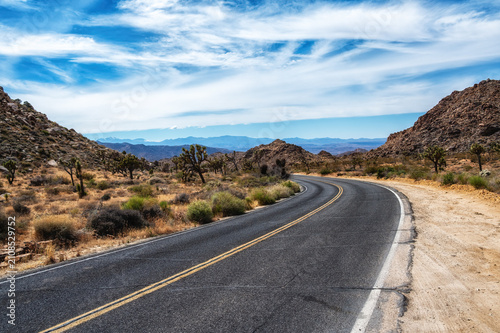 Road in Joshua Tree National Park California
