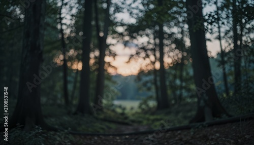 Ethereal Forest Opening at Twilight