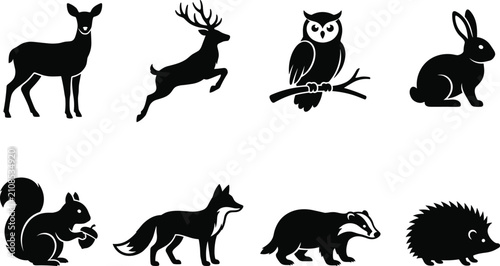 Photography Set of forest animals and woodland wildlife black vector silhouettes isolated on