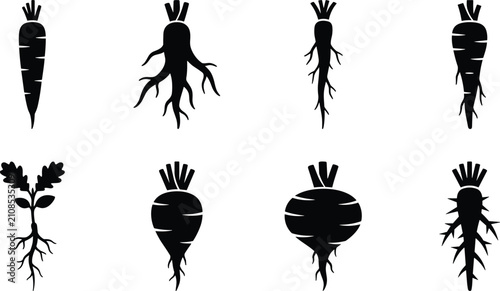 Schilderij op canvas Set of root vegetables and edible taproots black vector silhouettes isolated on
