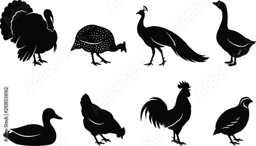 Fotografie Collection of domestic and ornamental bird silhouettes including turkey, peacock