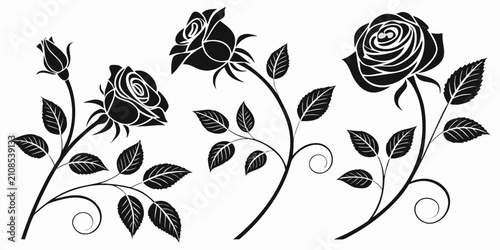 Konstfotografi Black botanical rose silhouettes, leaves, stems, and buds, isolated