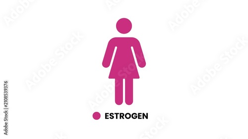 Female body silhouette highlighting estrogen concept animation isolated on white background