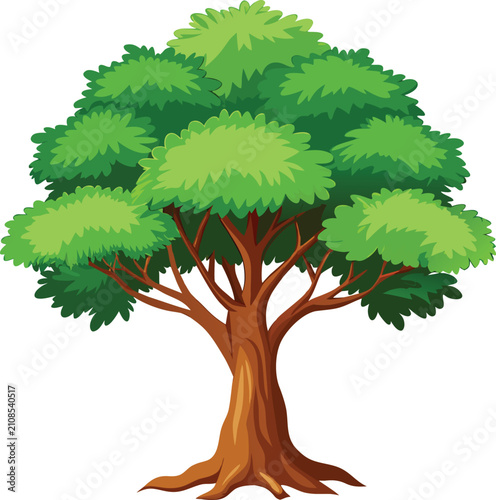 Large Green Leafy Tree with Brown Trunk nature leaves