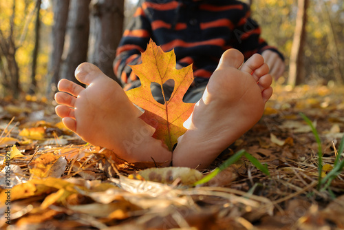 Tableau sur toile orange autumn leaf between the toes of a child sitting on the leaf-strewn ground on a sunny day