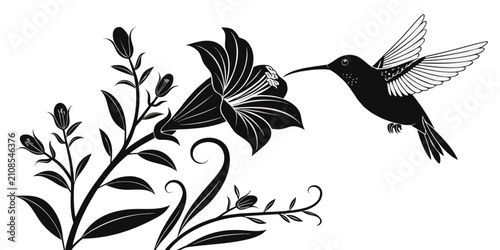 Quadro su tela Black hummingbird hovering near purple flower silhouette, isolated monochrome