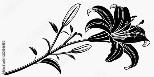 Vászonkép Black lily flower silhouette isolated on white background, botanical monochrome