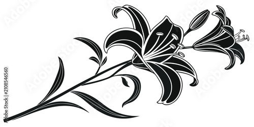 Obraz na plátně Black lily flower silhouette isolated on white background, botanical