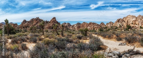 Joshua Tree National Park, California, USA