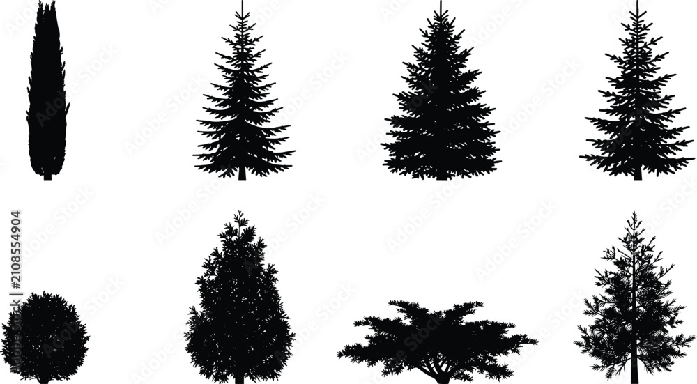 Fototapeta premium Evergreen Conifer Tree Silhouette Vector Set with Pine Spruce Cedar and Shrub Collection