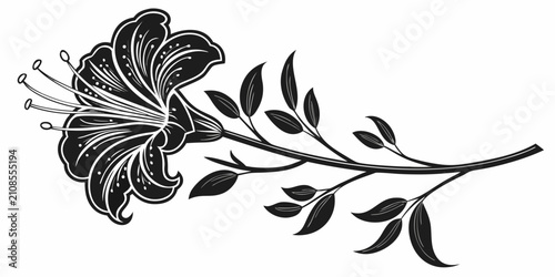 Fotografía Black peony silhouette on white background, isolated flower silhouette botanical