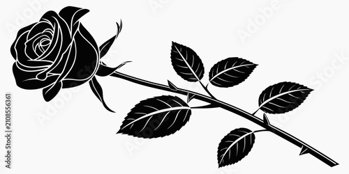 Fényképezés Black rose flower silhouette on white background, and detailed isolated black an