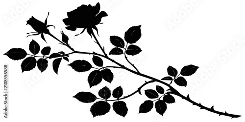 Fotografie Black rose petals silhouette collection, isolated on white background, black and