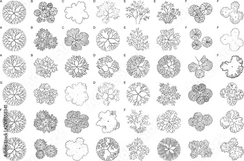 Architectural tree top view and landscape design CAD symbols set in black and white line art